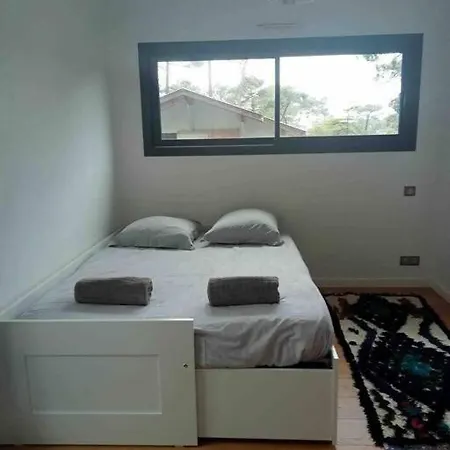 Magnifique Avec Piscine Et Jaccuzziii 아파트